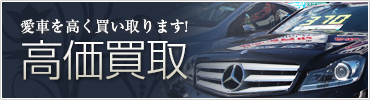 高槻ポロの高価買取